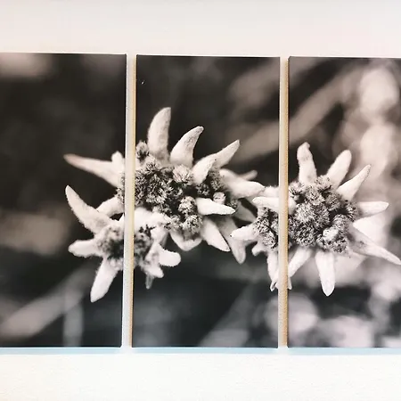 Gasthof Tyrol Pettneu am Arlberg