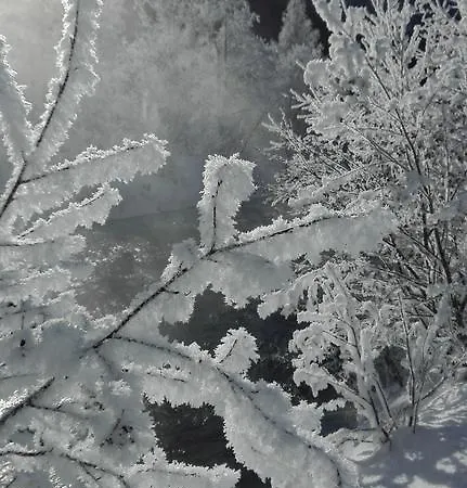 Tyrol Pettneu am Arlberg