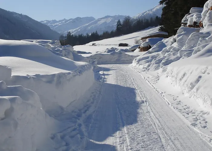 Tyrol بيتنيو آم أرلبرغ