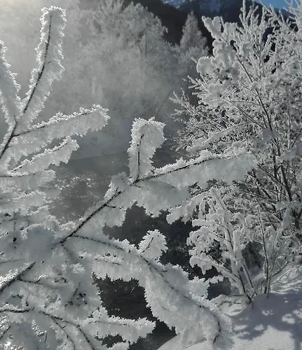 Tyrol بيتنيو آم أرلبرغ