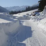Tyrol 페트노이 암 아를베르크