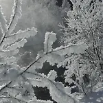 Tyrol 페트노이 암 아를베르크